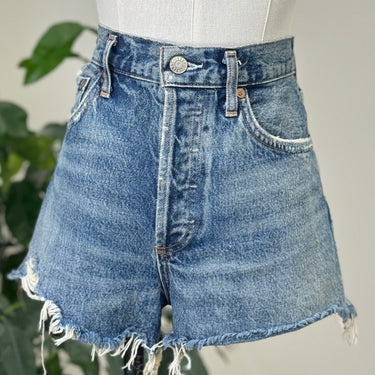Agolde Dark Denim Distressed Shorts, 26