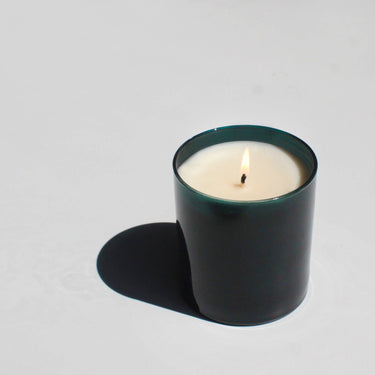 Solstice 9 oz. Hue Candle (Nordic Pine)
