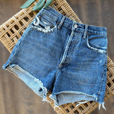 Agolde Dee Shorts in Precision, 25