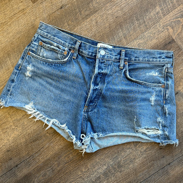 Agolde Parker Shorts, 31