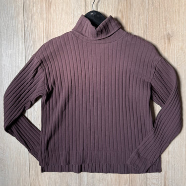 Madewell Chocolate Ribbed Turtleneck, XXS