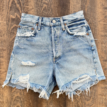 Agolde Dee Shorts in Ricochet , 24