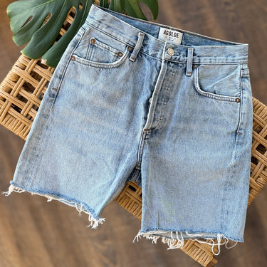 Agolde Rumi Shorts in Renewal, 24