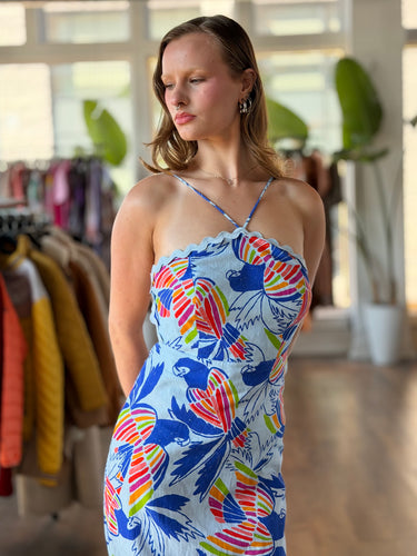 Farm Rio NWT Blue Color Bird Midi Dress, Medium