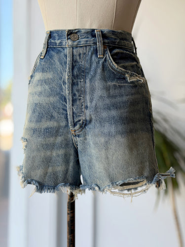 Agolde Dee Shorts in Ricochet , 27