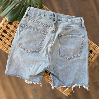 Agolde Rumi Shorts in Renewal, 24