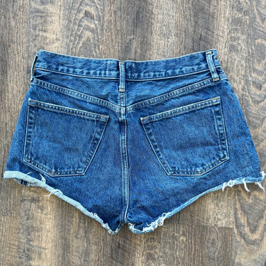 Agolde Parker Short in Caution, 27