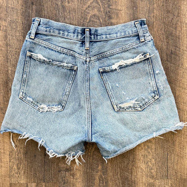 Agolde Dee Shorts in Riccochet, 27