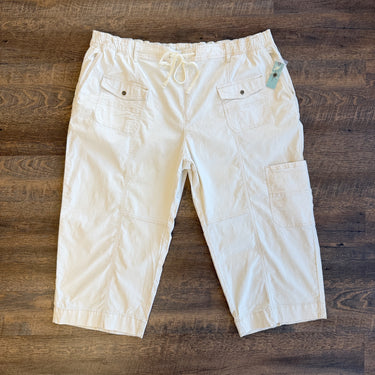 Pilcro NWT Anthropologie Pull On Cargo Pants in Ivory, 2XLarge