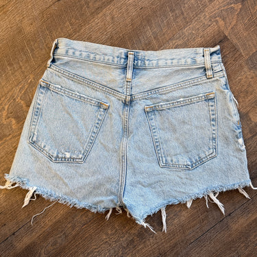 Agolde Riley Shorts in Groove, 28