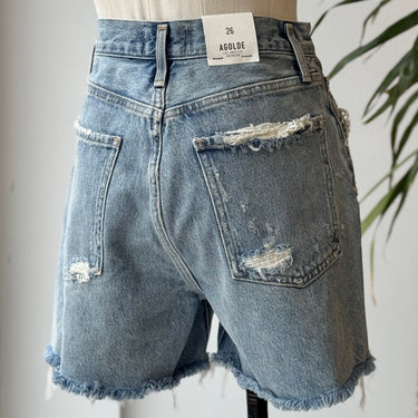 Agolde NWT Dee Ultra Shorts in Roccochet, 26