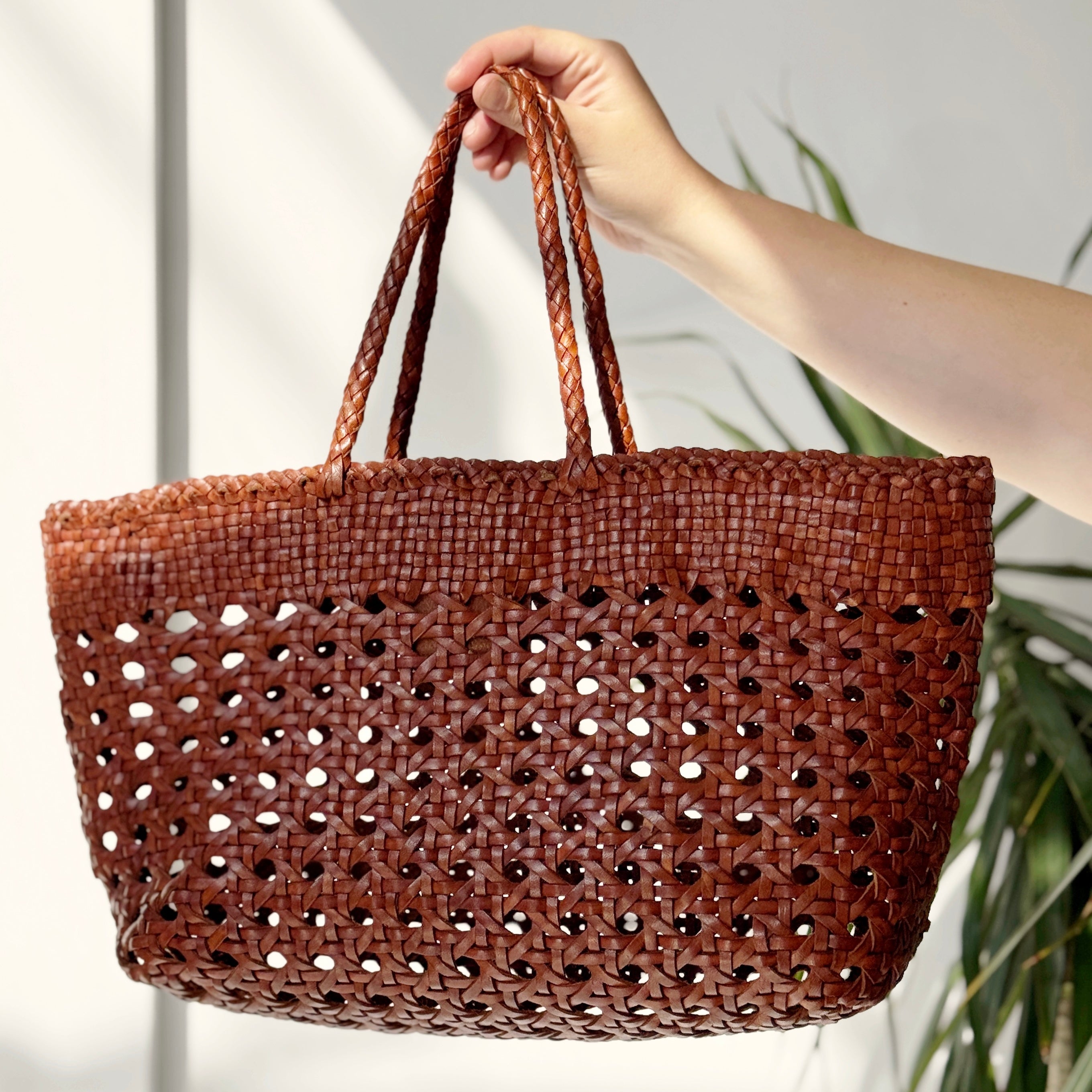 Dragon Diffusion Cannage Kanpur Tote Bag – Haberdashery