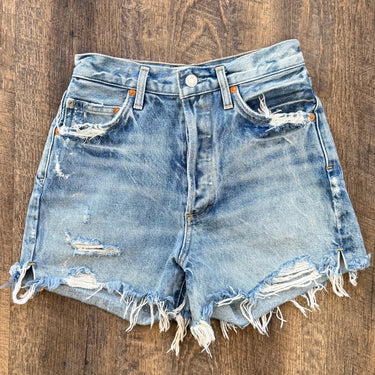 Agolde Dee Shorts in Riccochet, 24