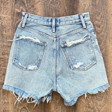 Agolde Dee Shorts in Ricochet , 24