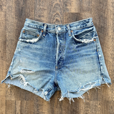 Agolde Dee Shorts in Riccochet, 27