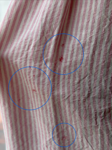 Caron Callahan Pink Stripe Linen Blend Button Up - as is, Large