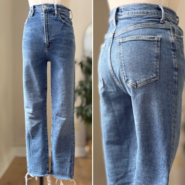 Agolde Pinch Waist Jeans, 24