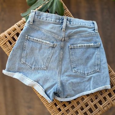 Agolde Dee Short in Hazard, 24