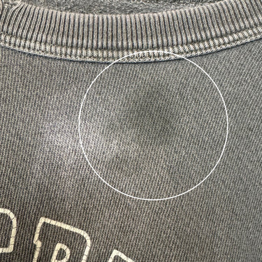 The Great Distressed Champion Sweater AS IS, Medium/2